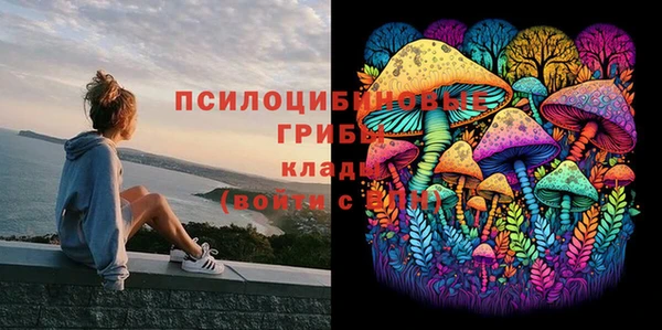 первитин Белокуриха