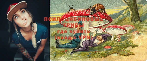 первитин Белокуриха