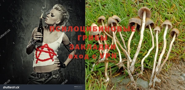 тгк Белоозёрский