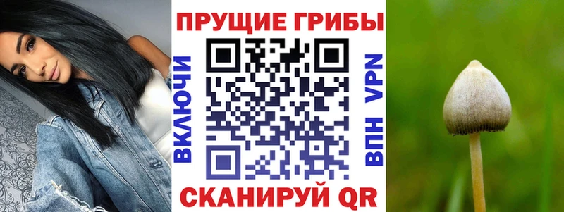 Галлюциногенные грибы Psilocybine cubensis  Крым 