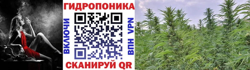Конопля Bruce Banner  кракен   Крым  наркота 